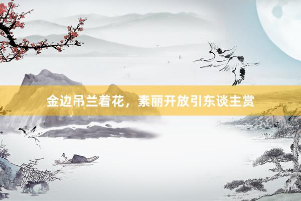 金边吊兰着花,素丽开放引东谈主赏