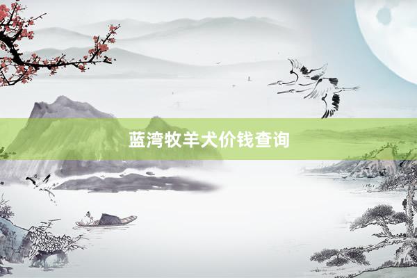 蓝湾牧羊犬价钱查询